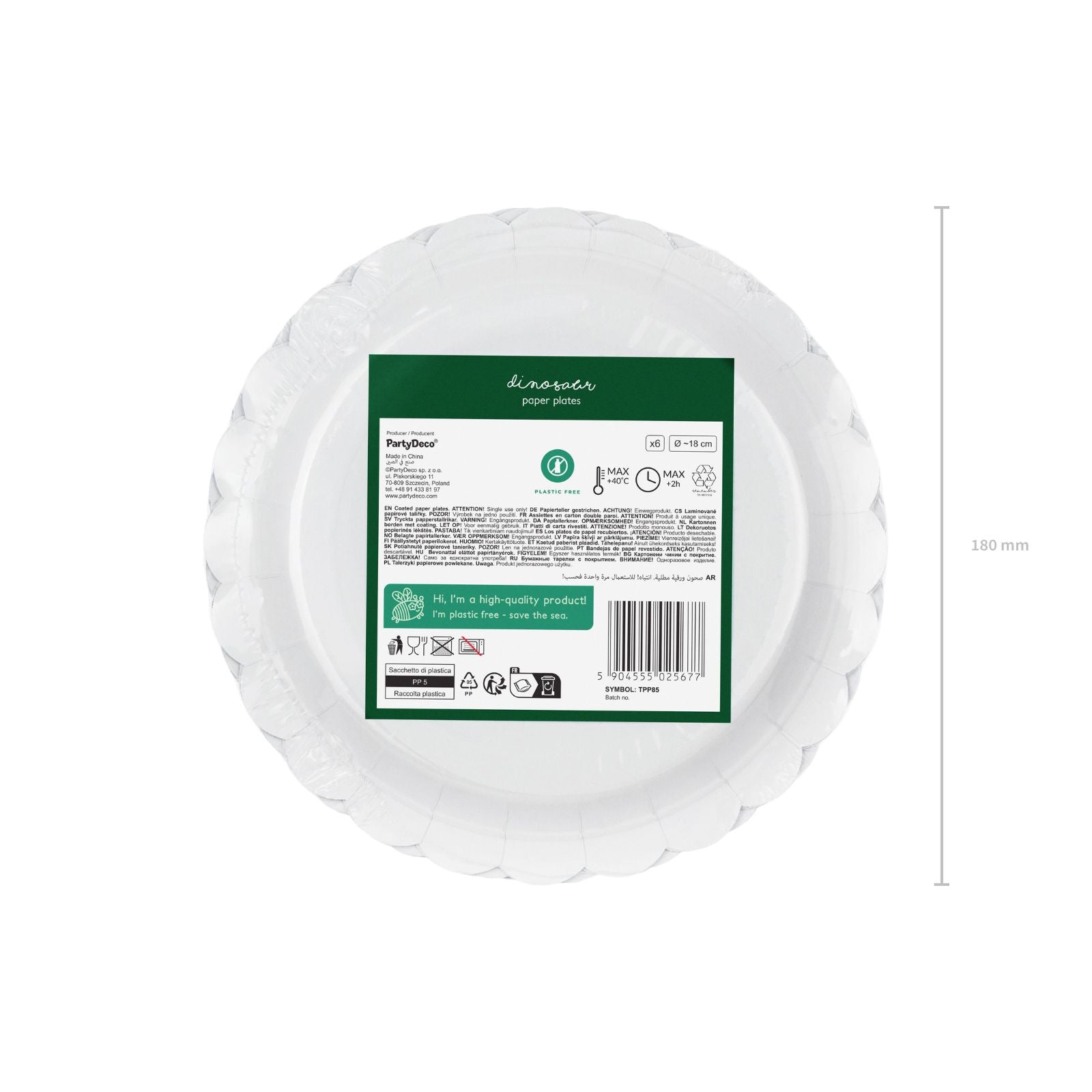 Dino Party Paper Plates mixed (1pkt/6pc)