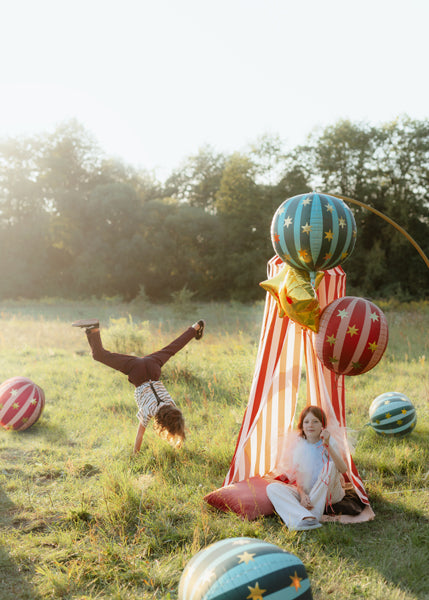 Big Top Circus Canopy (1pc)