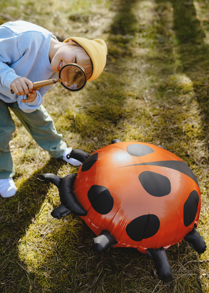 Ladybug Foil Balloon (1pkt/1pc) - Party Lane