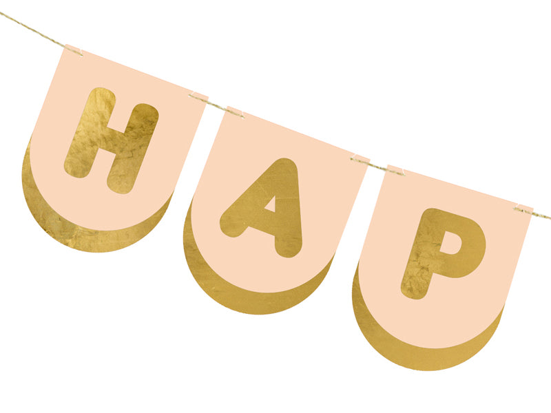Pink Pony Club Birthday Banner (1pkt/1pc)