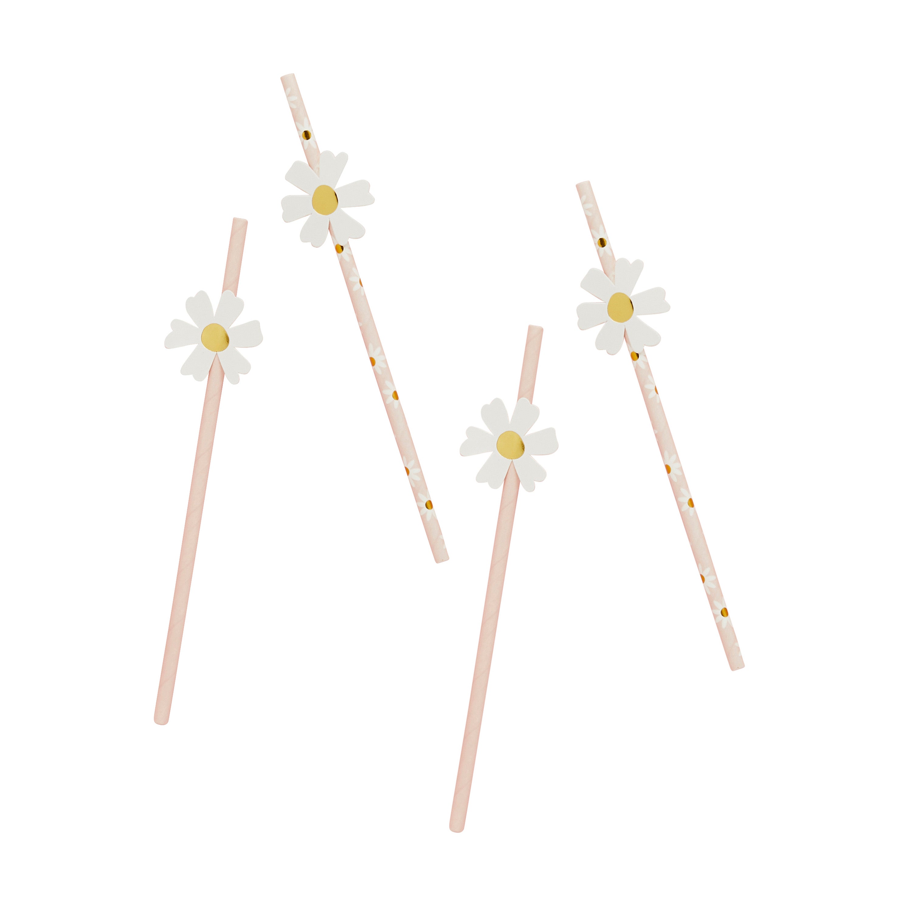 Daisy Days paper straws with daisy illustrations