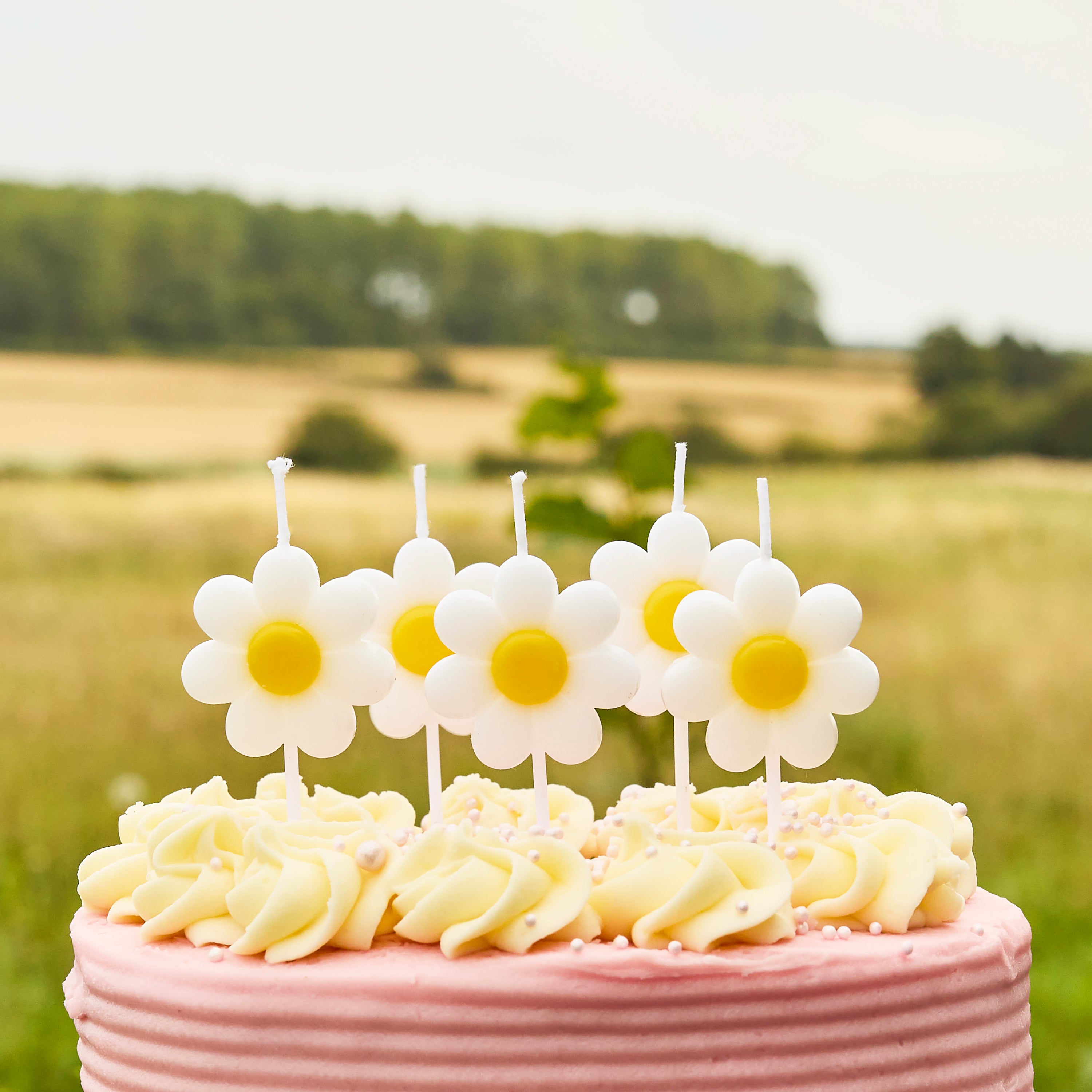 Daisy Days Candles (1pkt/5pcs)