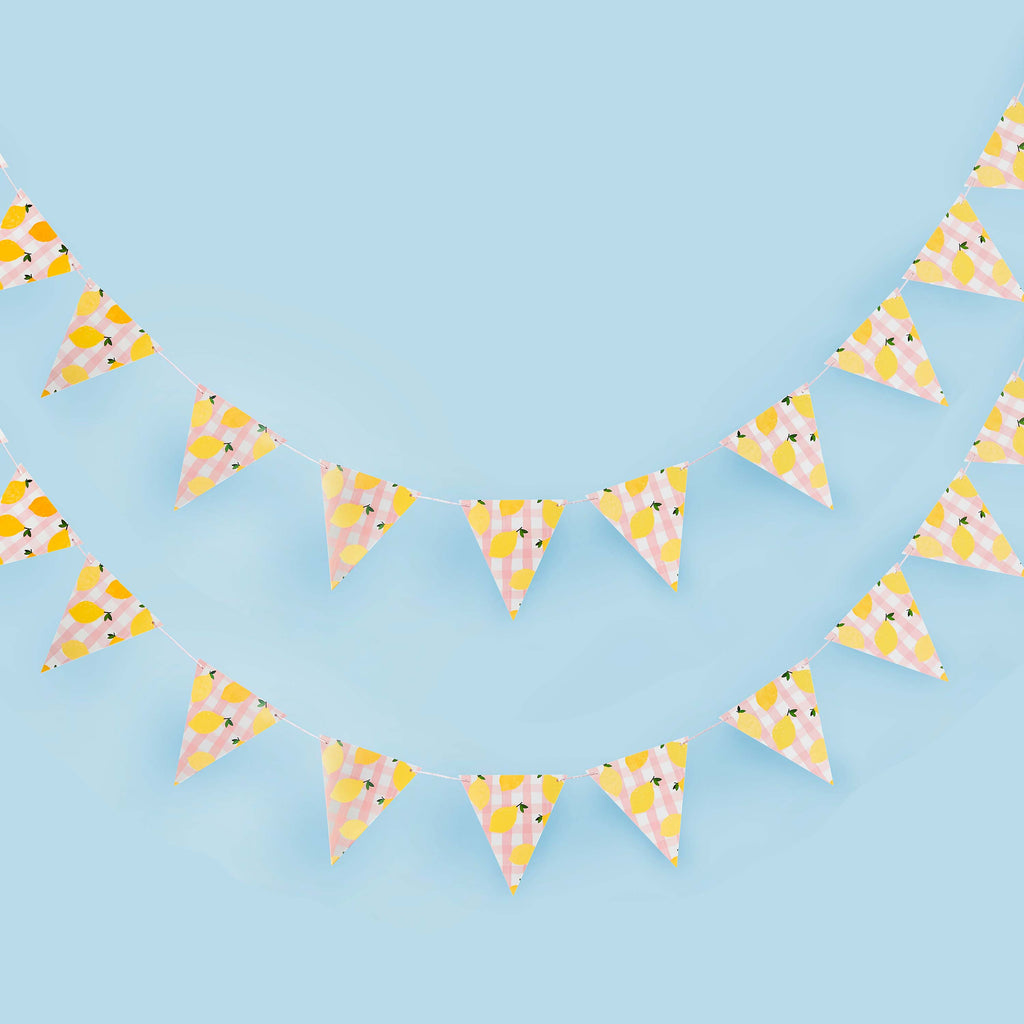 Sunny Squeeze Lemon Gingham Bunting 2.5m (1pkt/1pc) - Party Lane 