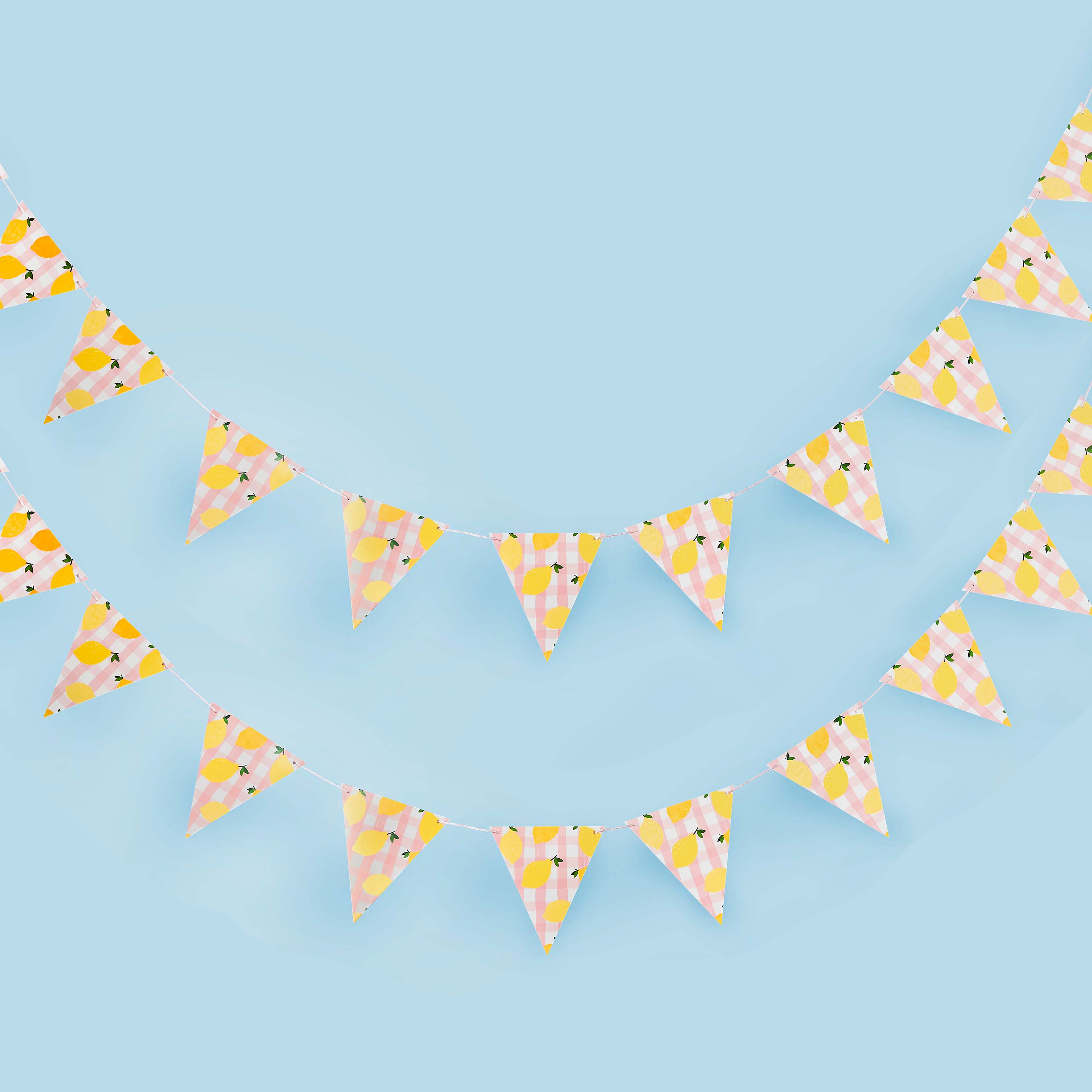 Sunny Squeeze Lemon Gingham Bunting 2.5m (1pkt/1pc) - Party Lane 