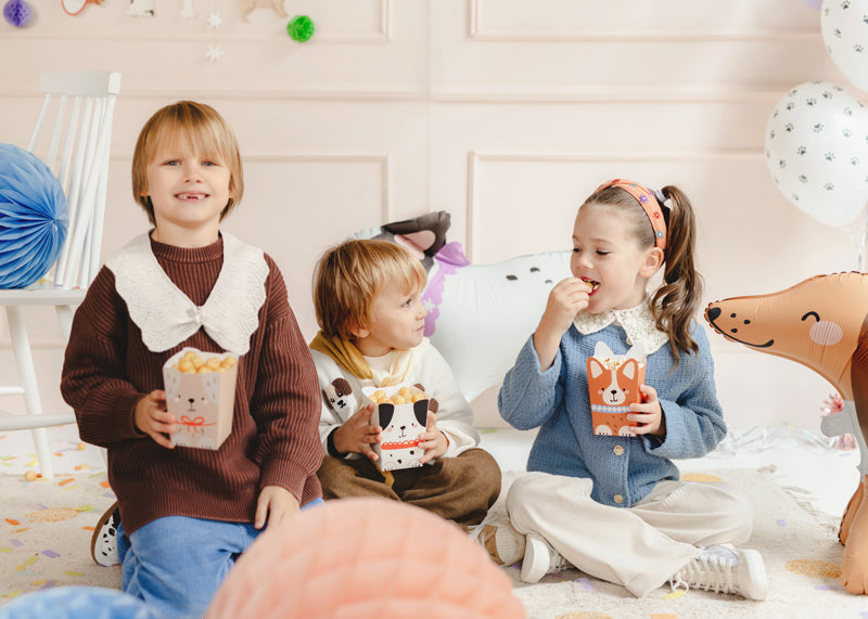 Puppy Pawty Snack Boxes (1pkt/6pcs)
